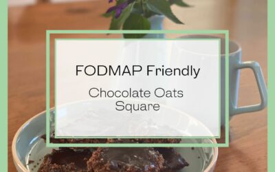 FODMAP friendly Chocolate Oat Squares